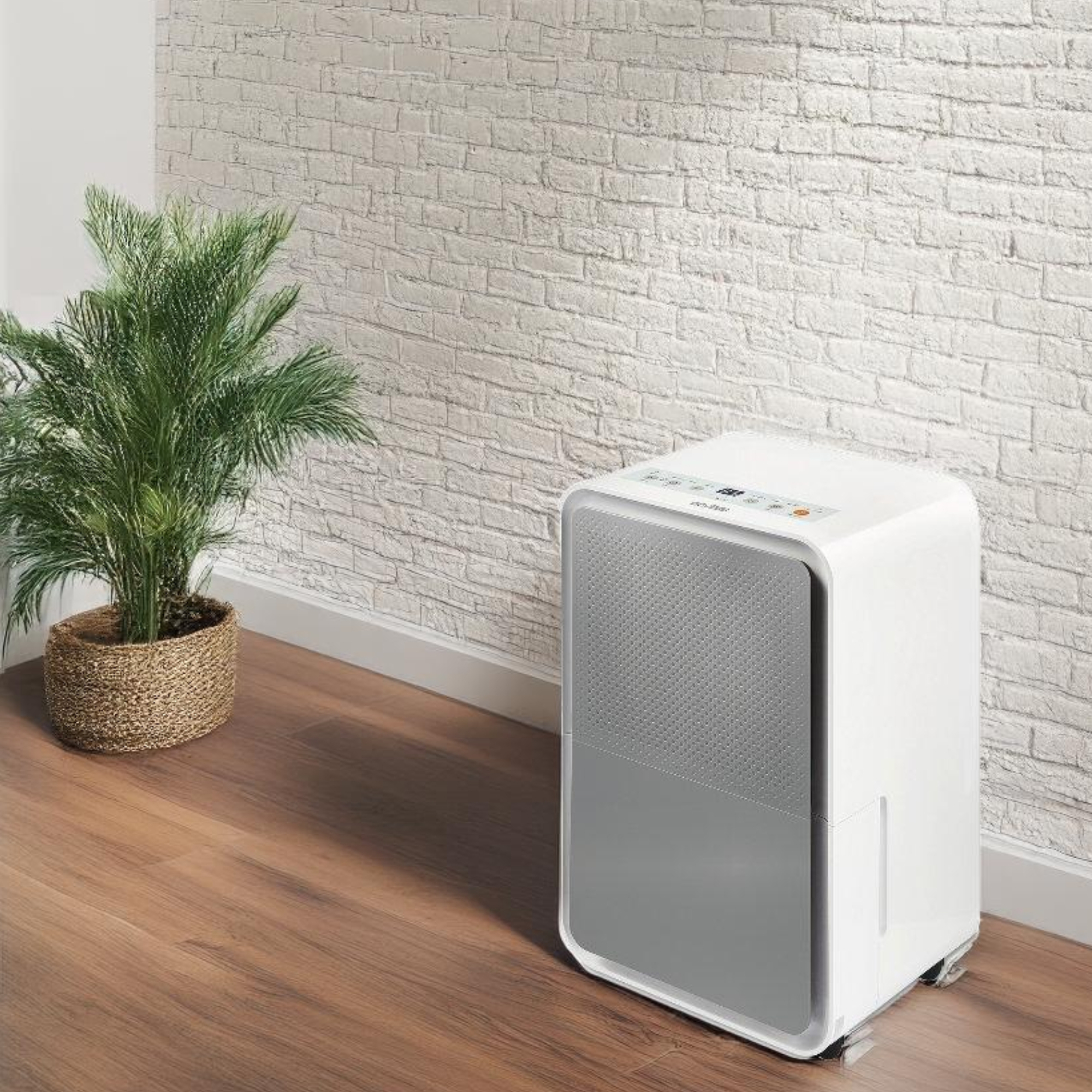 Regulus Luftentfeuchter – Leise, Leistungsstark & Vielseitig