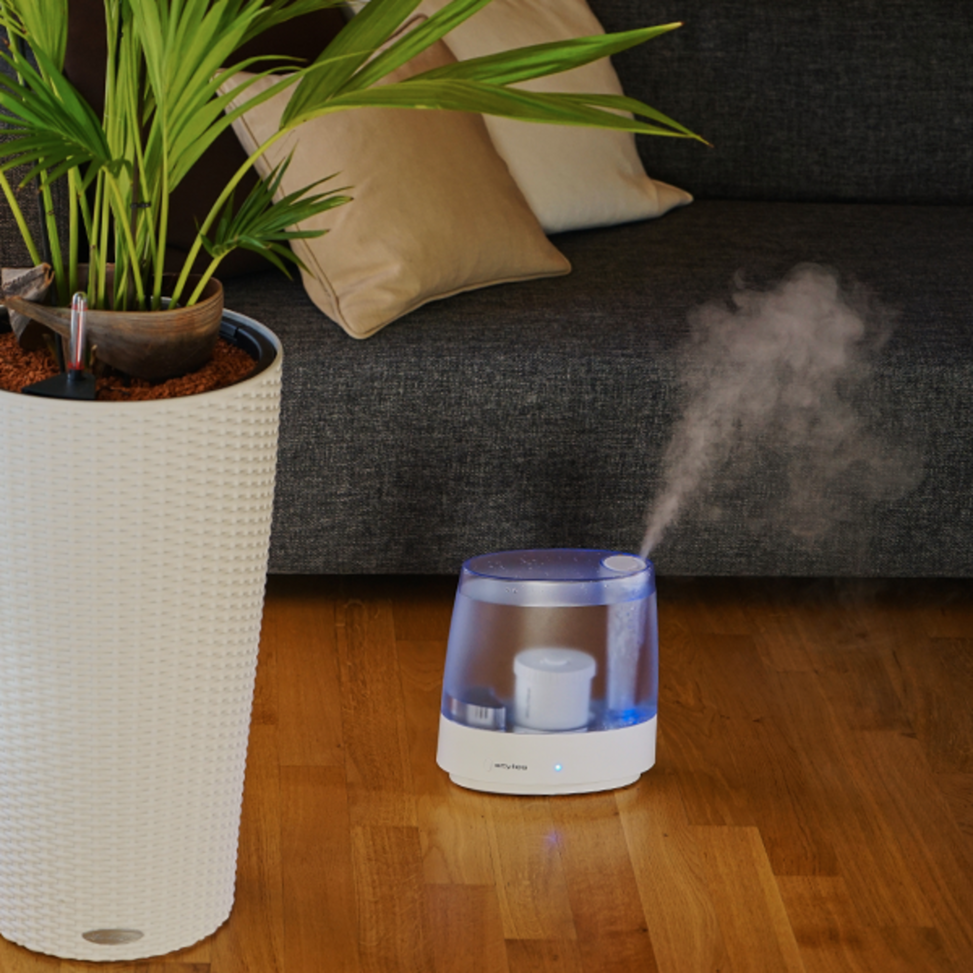 Aquila Ultraschall Luftbefeuchter – Kompakt, Hygienisch & Innovativ