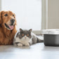 Fontanus Kabelloser Trinkbrunnen für Katzen & Hunde