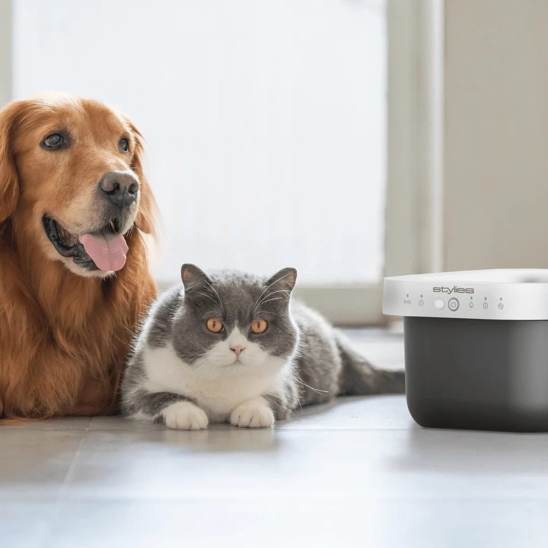 Fontanus Kabelloser Trinkbrunnen für Katzen & Hunde